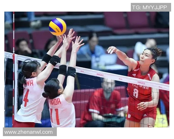 上海排球队战术引发热议球迷与专家观点交锋分析