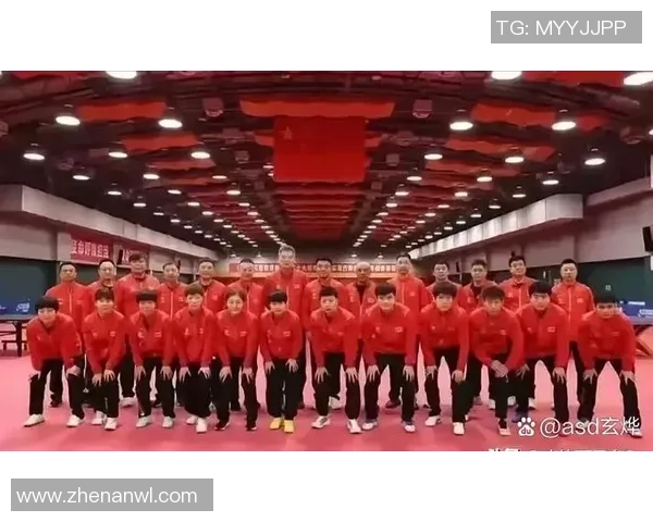 乒乓球盛宴：深入了解杭州乒乓球队的训练与比赛节奏