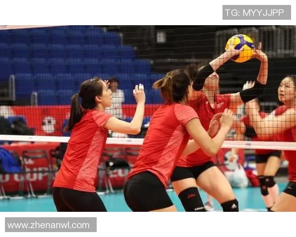 成都排球队实力深度解析与对手力量对比全景分析 成都排球队实力深度解析与对手力量对比全景分析